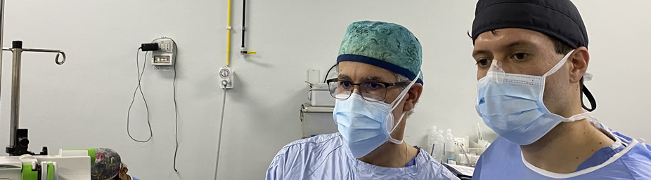 Imagen de la página inicial de la revista